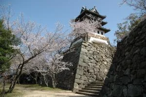 高い石垣の上に立つ洲本城の模擬天守と、手前の石段