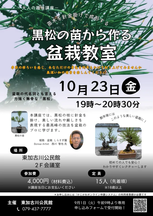 黒松の苗と数年後の盆栽の姿の例を載せた公式チラシ。10月23日19時から東加古川公民館で開催