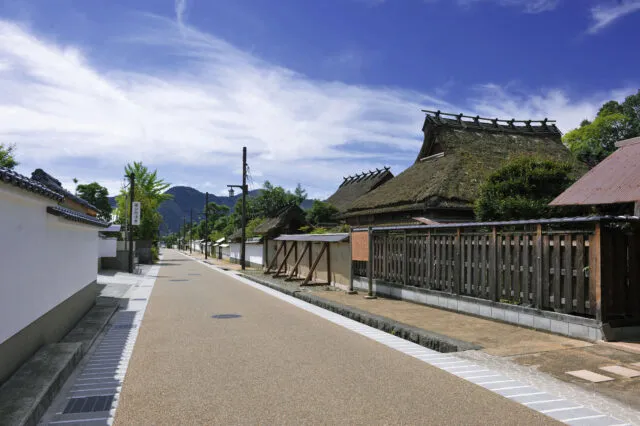 丹波篠山の御徒士町武家屋敷群の白壁・屋根と通り