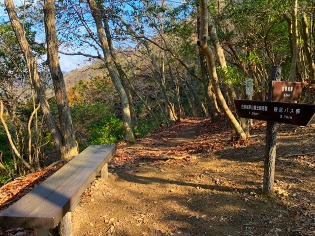 白旗山の森林内の登山道と分岐標識