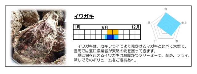 兵庫県の但馬のおさかな図鑑にあるイワガキの項目。大型の殻と、夏に天然のものを採る説明