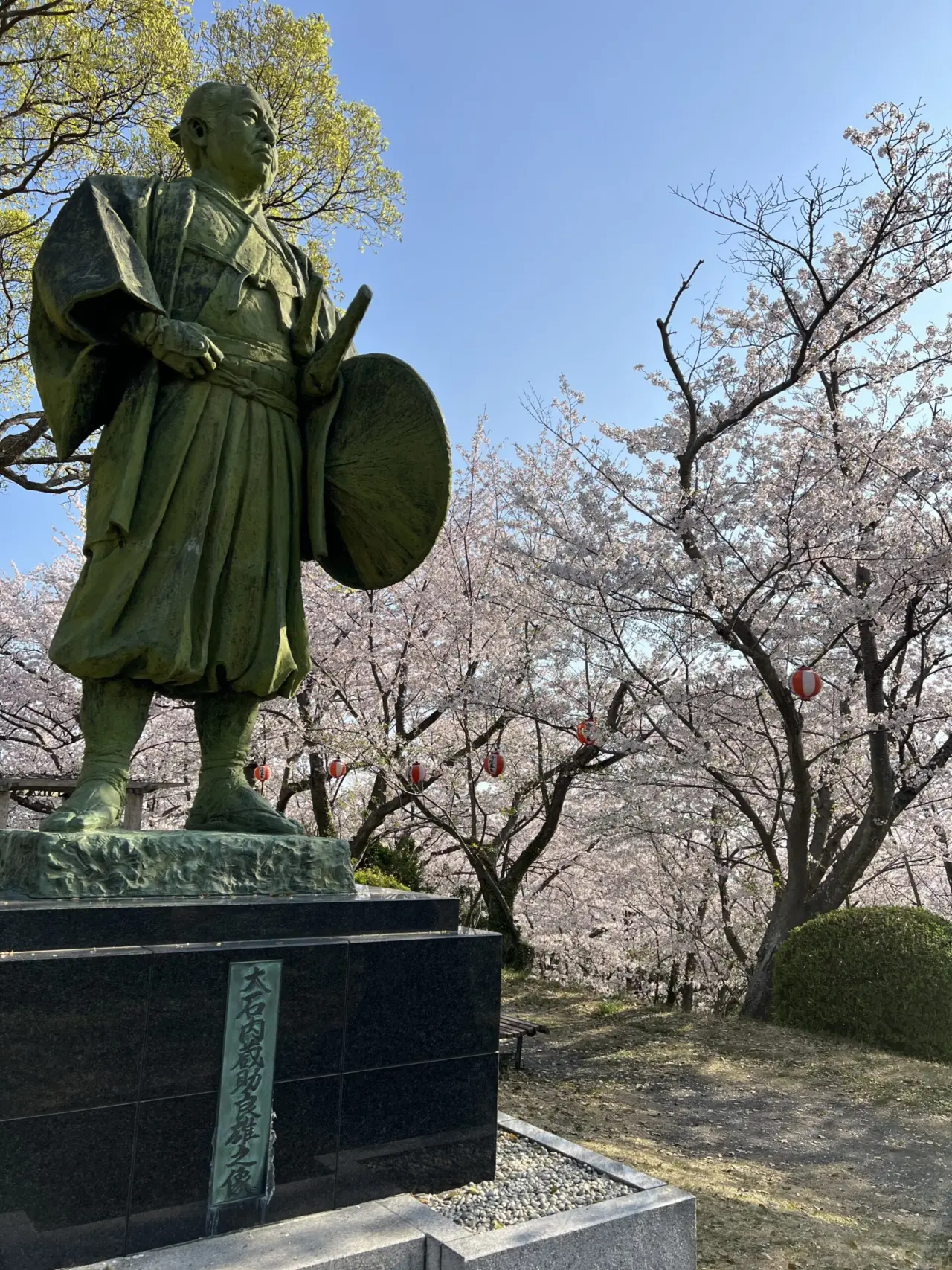 赤穂東御崎公園駐車場の桜