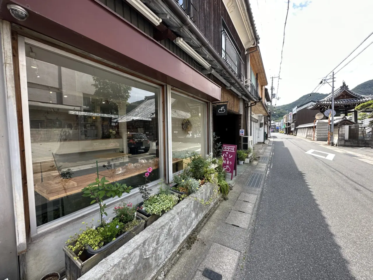 カタリモ前の道路
