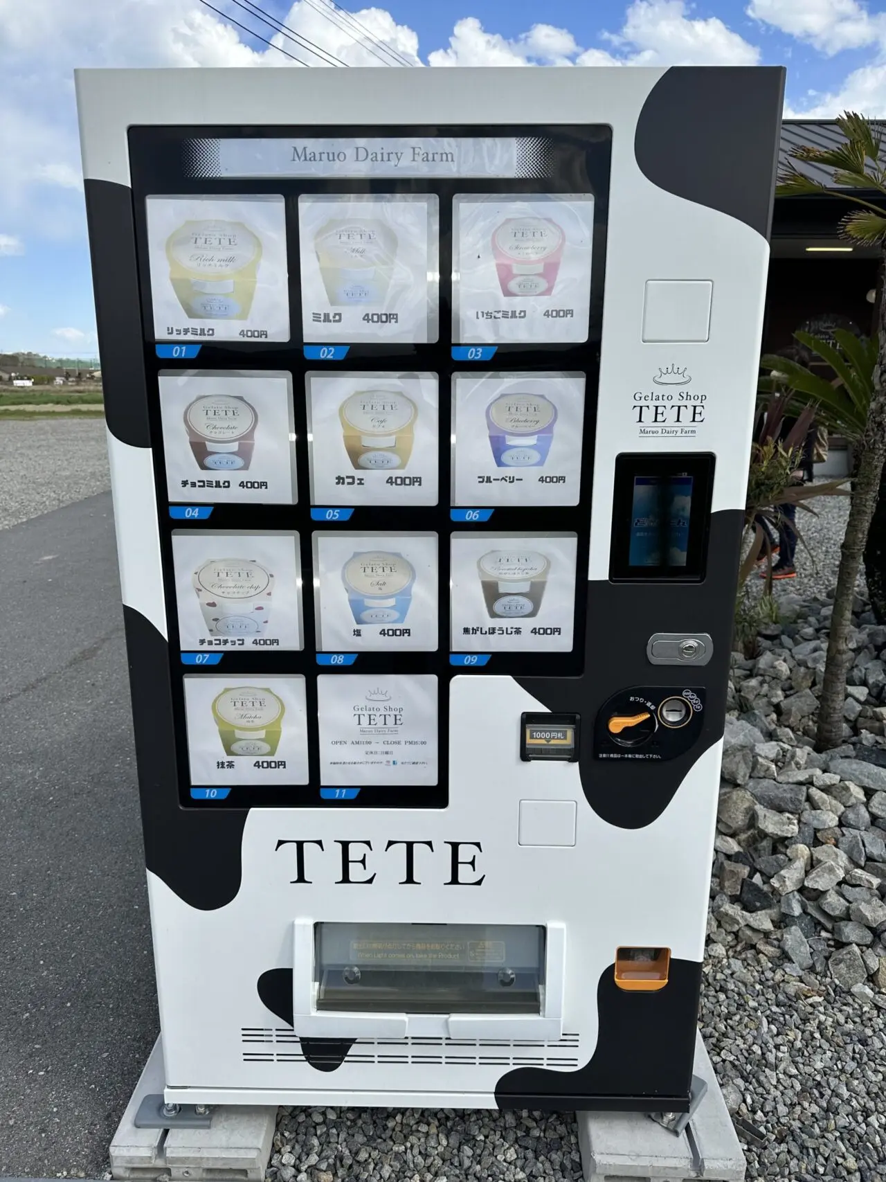 Gelato Shop TETEのダブルカップジェラート