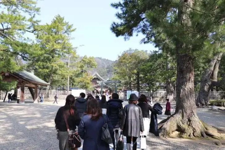 出雲大社の本殿を別角度から