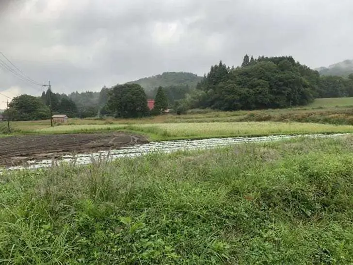 蒜山手打ちそば叉来の天ぷら