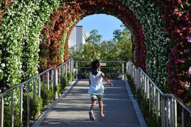 とっとり花回廊の園内風景