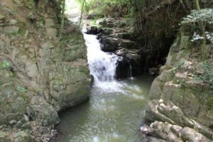 駐車場からすぐ！わにぶちの滝公園 東広島市で手軽に見られる大蛇伝説の滝 アイキャッチ画像